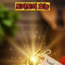 토마토 효능 이미지