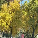 청명세탁소 | 이사 가던 날