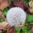 어디로 갈까 / 이철우 이미지