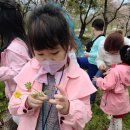 다목초병설유치원 이미지