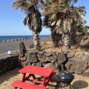 서귀포농업협동조합보목지점 | 제주도 오션뷰 카라반 선셋코스트, 바베큐와 애견 동반 가능 숙소