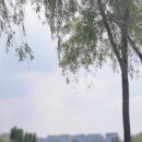 서울식물원 호수원 화장실 네이버블로그