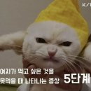 뷰티엔젤 이미지