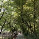 허밍웨이길 | [세줄후기][장소] 허밍웨이길 (서울 반포) ★★★