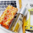 위시앤쉴드 이미지