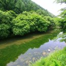 느티나무펜션 이미지