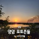 군서 백리벚꽃길 | 전남 영암 가볼만한곳 포토존 영산호하구둑 백리벚꽃길 기찬묏길 황토길 노을뷰 월출산뷰