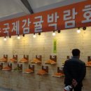 신례교차로 3 이미지