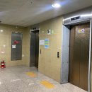 나성동_국세청앞BRT 이미지