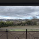 JS편의점 | 경주 애견동반숙소 JS애견풀빌라 애견펜션 201호 후기 숯불 바베큐