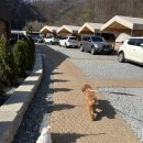 폴라리스야영장 이미지