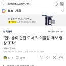 던킨도너츠드림 이미지