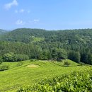 주식회사 다업