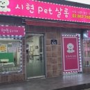 시현펫살롱 이미지
