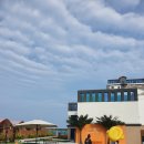 시포트리조트 이미지