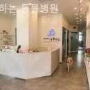 함께하는동물병원 이미지