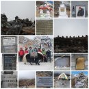 주식회사 단톡 이미지