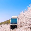 화담스테이 이미지