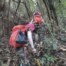 구면농장 | 중국 칭위안 관음산(中国清远观音山) 3번째 산행은 등산로를 잃어버려 아파계(阿婆髻) 정상은 밟지...