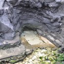 대섭동산 티스토리