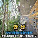 성호박물관 | 경기도 안산 식물원 성호박물관 아이와 무료관람 실내아이와 가볼만한곳