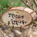 가족나무 이미지