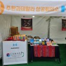 글로벌 영도 커피 페스티벌 참가 후기