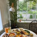 오솔라(OSOLAR) 이미지