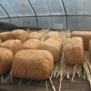 박산경로식당 이미지