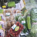 오향2리 이미지