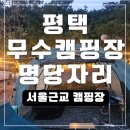 이마트24 평택대박점 | 서울근교 오토캠핑장 추천 평택 무수 캠핑장 재방문 후기