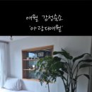 아랑디애월