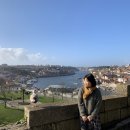 필 호스텔 이미지