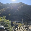 신촌지락 이미지