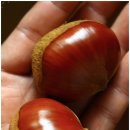 무지지천 이미지