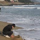 천년바위펜션 이미지