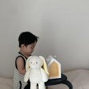 비즈아띠 | 코코지 하우스 신제품 , 허그아띠 버니 후기