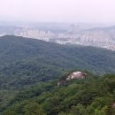 한솔향