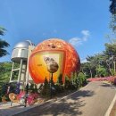 좌구산 천문대 이미지