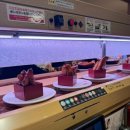 스시도리 | [일본 도쿄] 시부야 가성비 스시 맛집 카츠미도리 회전초밥 시부야점 웨이팅 내돈내산 후기