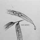 그리기 쉬운 펜드로잉 이미지