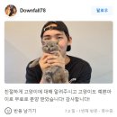 큐티댕냥 하남 본점 강아지 고양이 분양 | 큐티댕냥 하남본점 강아지 고양이 분양 후기
