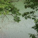 연곡저수지 이미지