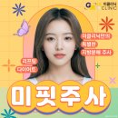 미핏