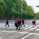 두류공원로 이미지