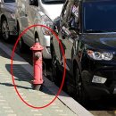 주정차-54 이미지