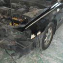 신세계모터스 이미지