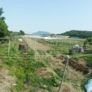 남해안공인중개사사무소 이미지