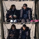 불타는청춘 이미지