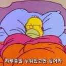 포케이크